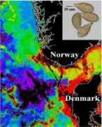 lepo.it.da.ut.ee Esplund