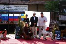mountolympuskennel.com Essek