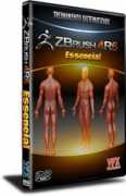 vfxproducoes.com Essencial