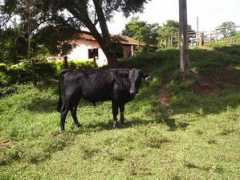 Estacao