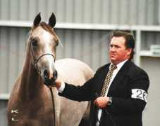 nzarabians.com Estania