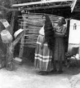 parentseyes.arizona.edu Estefana