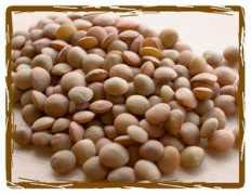 purcellmountainfarms.com Estoria