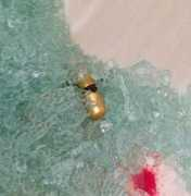 f5.folha.uol.com.br Estourada