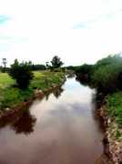 irishargentine.org Estrugamou