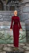camelot.allakhazam.com Etain