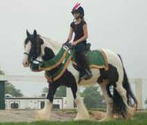 vannercentral.com Etaine