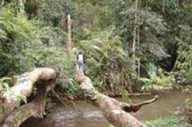 trekthailand.net Etao