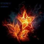 mp3passion.net Etereo