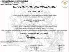 Ethore