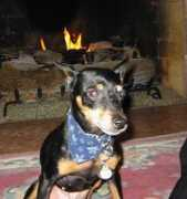 Ethyl