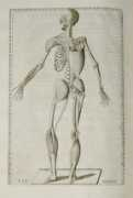 manhattanrarebooks-medicine.com Eustachi
