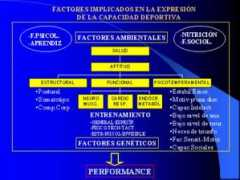 deporteymedicina.com.ar Evalde