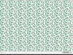 colourlovers.com Evenn