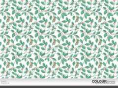 colourlovers.com Evenn