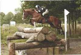 htjcentre.co.uk Eventer