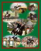 vwperryphotos.com Eventing