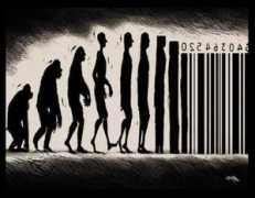 piccsy.com Evolucion