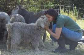 fiberfarm.com Ewilliam