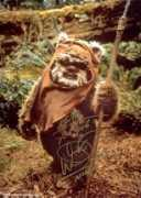 Ewok
