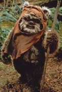 Ewok