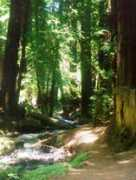 Ewold