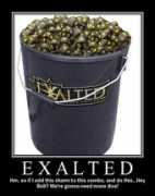 chomic.net Exalted