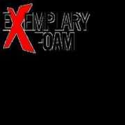 exemplaryfoam.com Exemplary