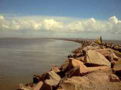 panoramio.com Extensao