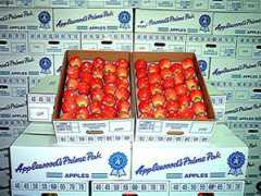 applewoodapples.com Eyro