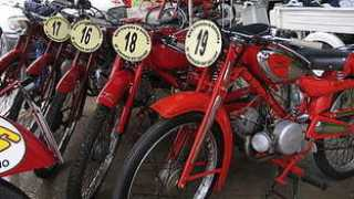 vaol.it Fabani
