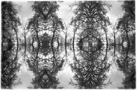 uitti-maslin-photography.com Faberge