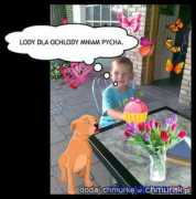 Fabianek