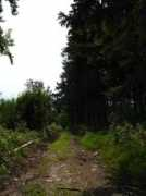 kerek.blog.sme.sk Fabova