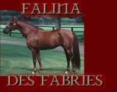 racestreet.com Fabries