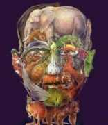 coolopticalillusions.com Faced