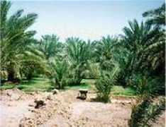 Fadak