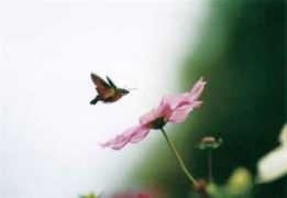 tokyoartbeat.com Faec