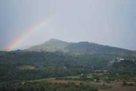 Faggione
