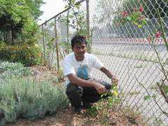 thomania.org Fahaam
