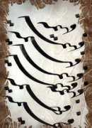 Fahimeh