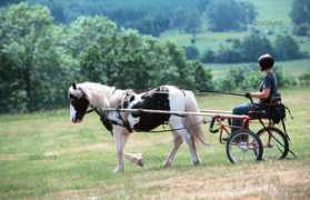 zoonar.com Fahren
