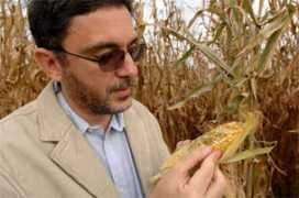 news.siu.edu Fakhoury