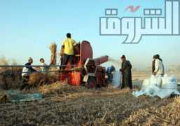 shorouknews.com Falaha
