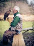 productionparadise.com Falconery