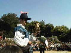as.wvu.edu Falconery