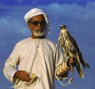 Falconier