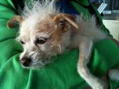 thefuture.is Falcor