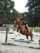 thehanoverian.com Falentine