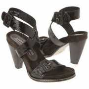 shoeshoetrain.com Falise